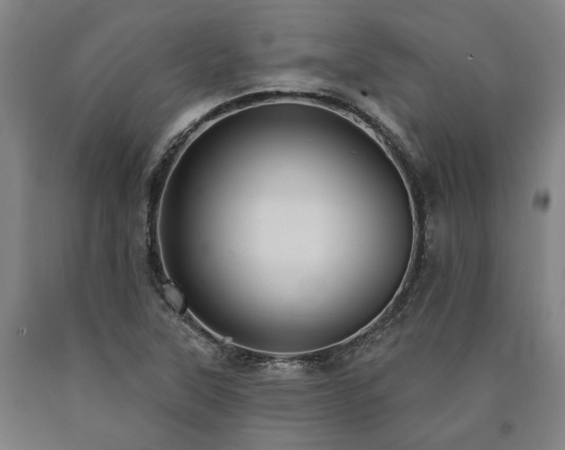 X0000090911315200707301425