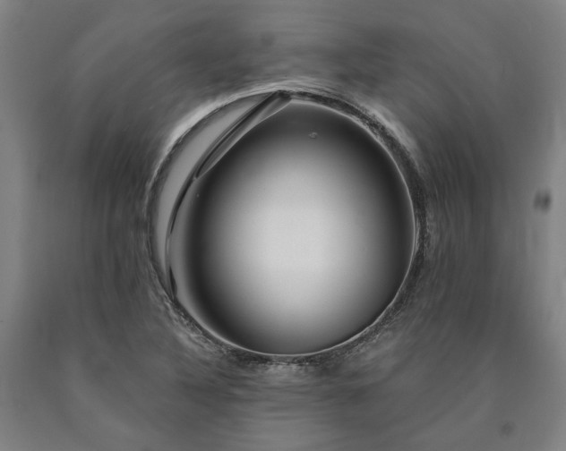 X0000090911316200707301425