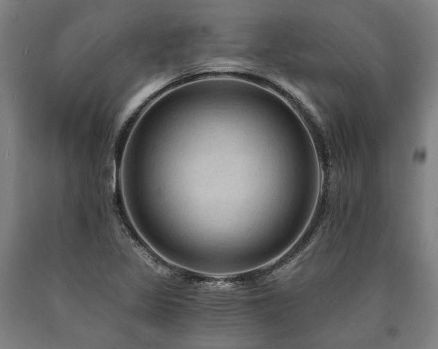 X0000090911317200707301425