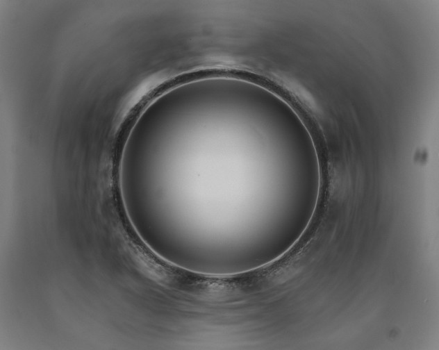X0000090911318200707301425