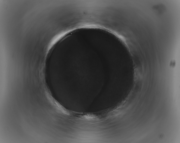 X0000090911319200707301426