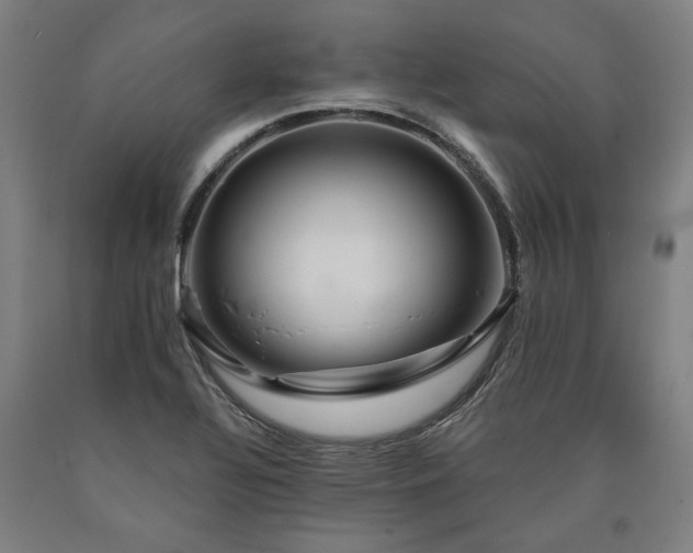 X0000090911320200707301426