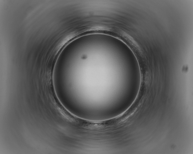 X0000090911321200707301426