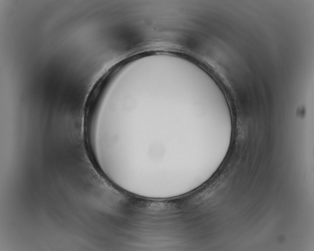 X0000090911322200707301426