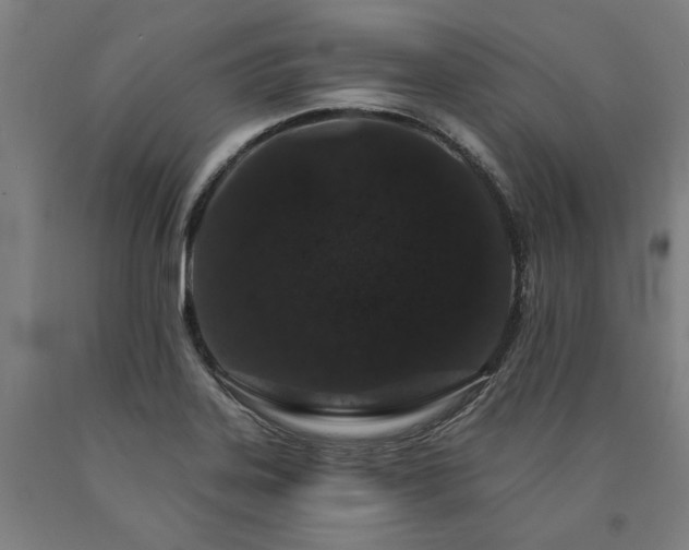 X0000090911323200707301426