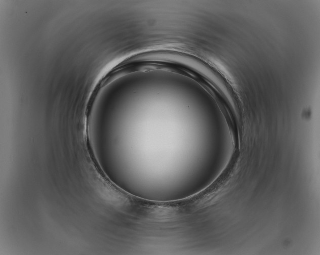 X0000090911324200707301426