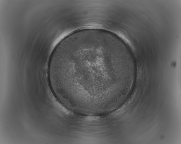 X0000090911325200707301426