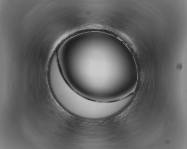 X0000090911326200707301426