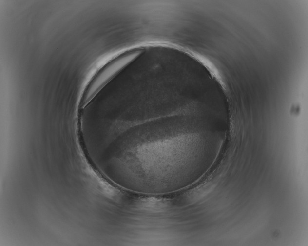 X0000090911327200707301426