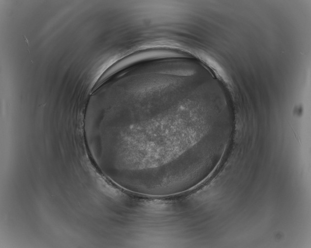 X0000090911329200707301426