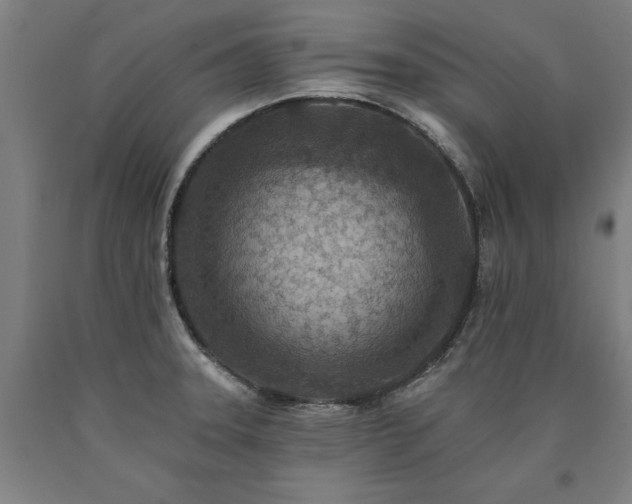 X0000090911331200707301426