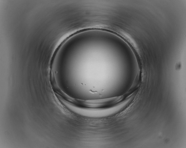 X0000090911332200707301426