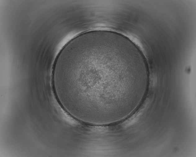 X0000090911333200707301426