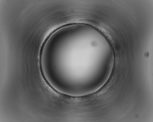 X0000090911334200707301426