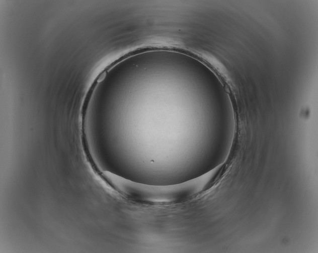 X0000090911335200707301426