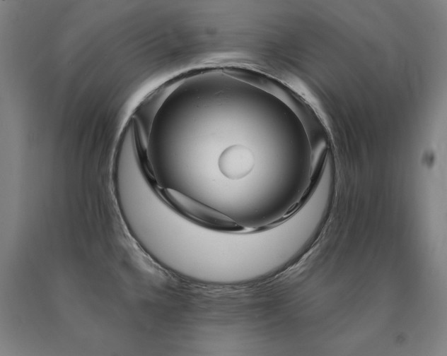 X0000090911336200707301426