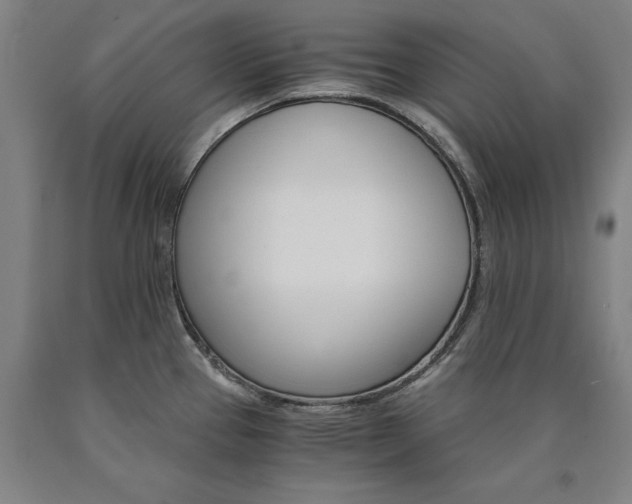 X0000090911337200707301426