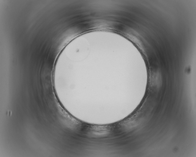 X0000090911338200707301426