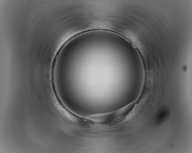 X0000090911339200707301426