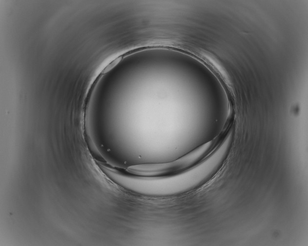 X0000090911340200707301426