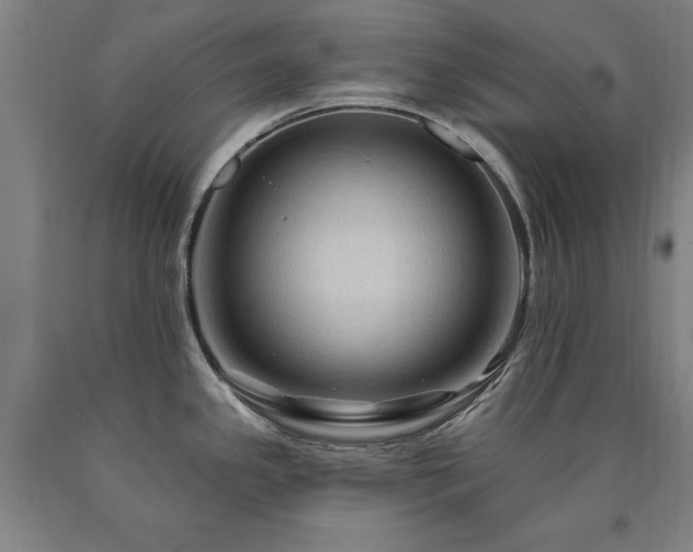 X0000090911341200707301426