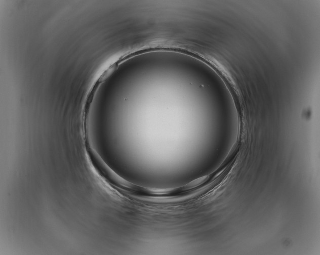 X0000090911342200707301426