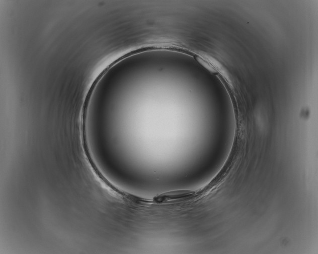 X0000090911343200707301426