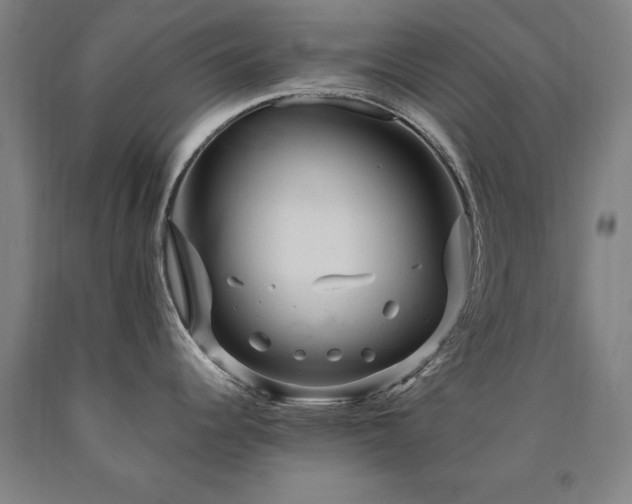 X0000090911344200707301426