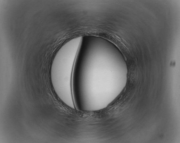 X0000090911345200707301425