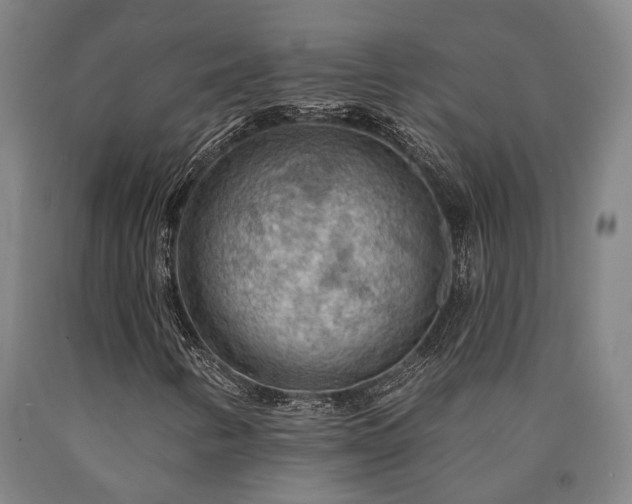 X0000090911346200707301425