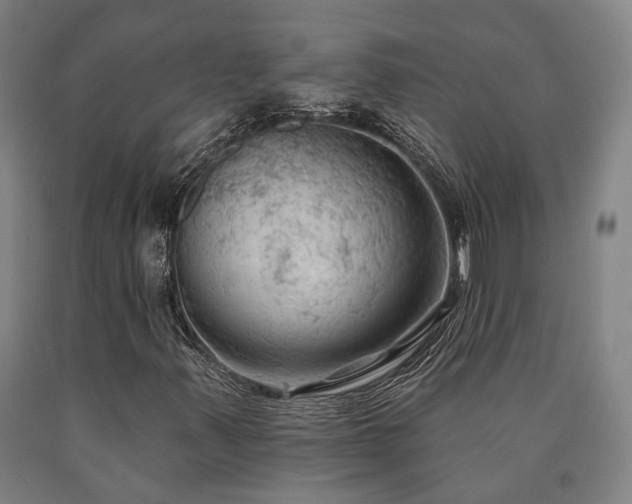 X0000090911347200707301425