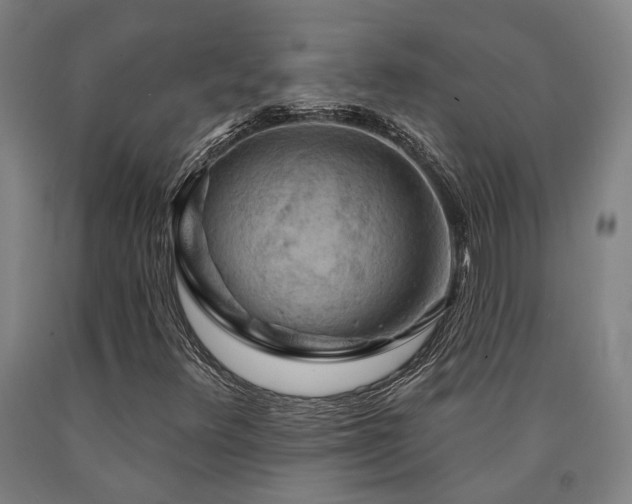 X0000090911348200707301425