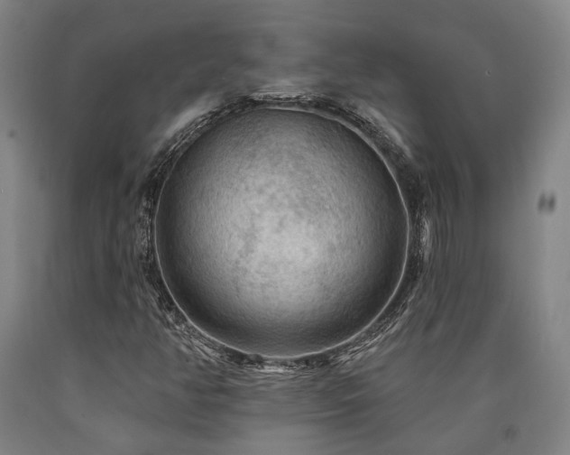 X0000090911350200707301425