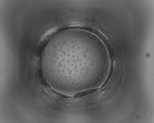 X0000090911351200707301425