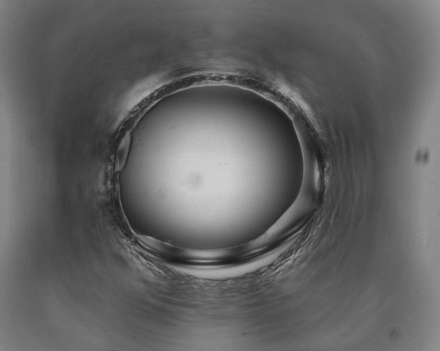 X0000090911352200707301425