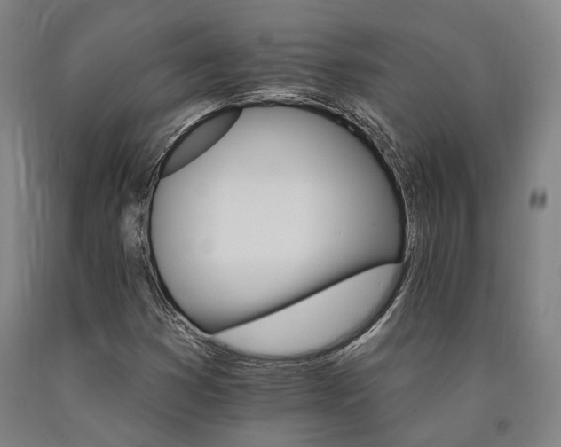 X0000090911353200707301425