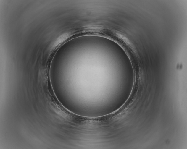 X0000090911354200707301425