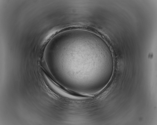 X0000090911355200707301425