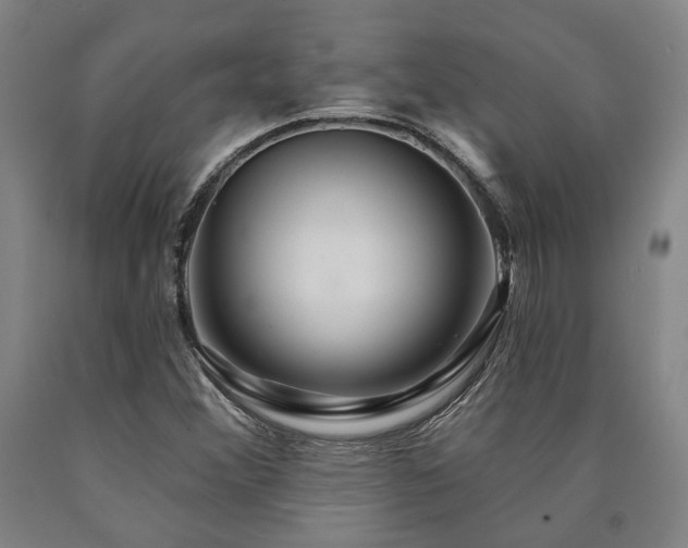 X0000090911356200707301425