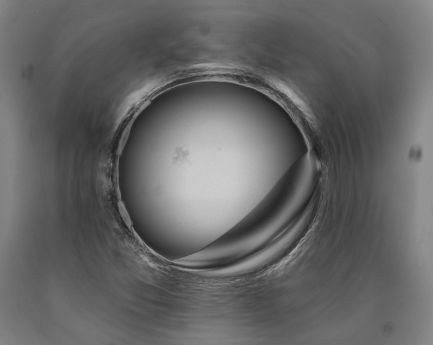X0000090911357200707301425