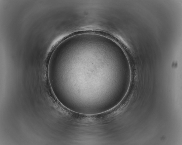 X0000090911358200707301425
