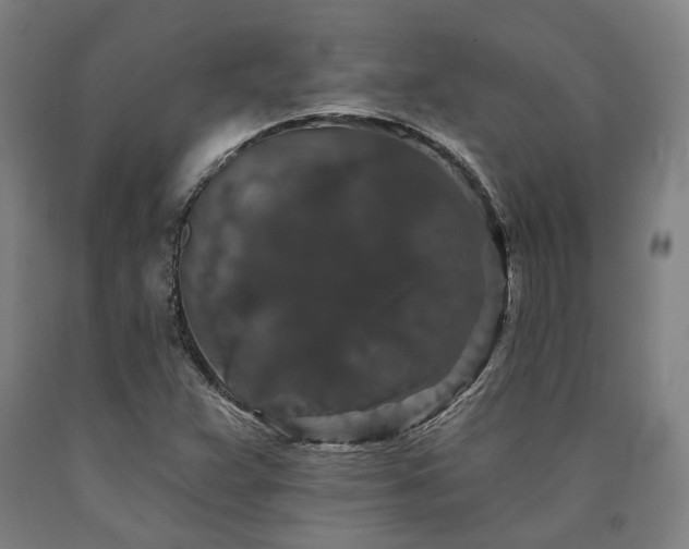 X0000090911359200707301425