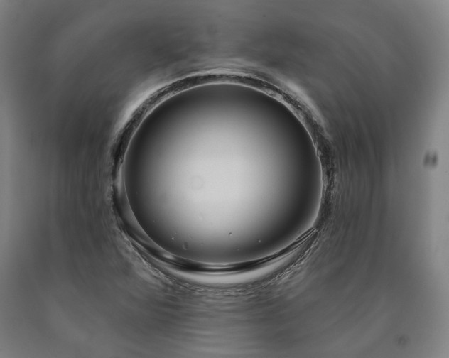 X0000090911360200707301425