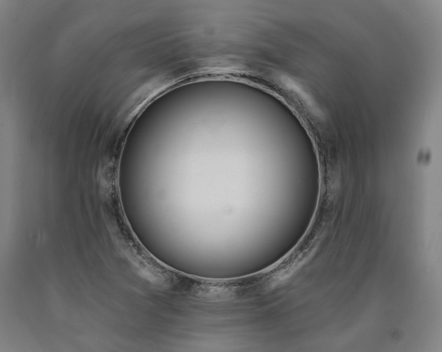 X0000090911361200707301425