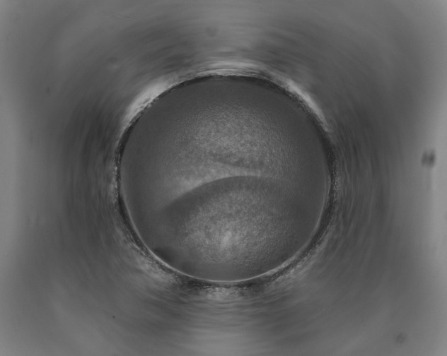 X0000090911362200707301425