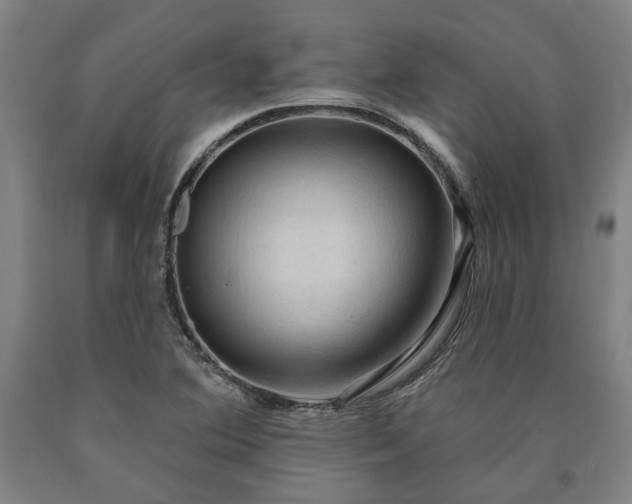 X0000090911364200707301425