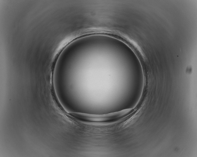 X0000090911365200707301425