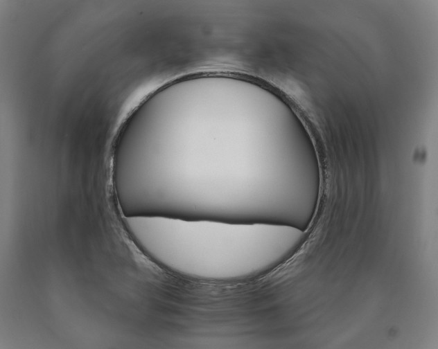 X0000090911366200707301425