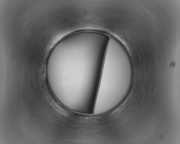 X0000090911367200707301425