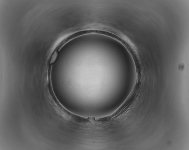 X0000090911368200707301425